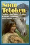 Soun Tetoken book cover